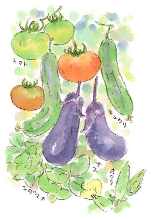 hoccoridesign's tweet photo. 散策スケッチ-野菜直売所の畑にて：夏野菜を見ながら歩いた日のスケッチ。瑞々しいキュウリにトマト、ツヤツヤのナス。エダマメやオクラ。他にも沢山ありましたが、一度には描ききれないですね（笑）。手入れの行き届いた畑で伸び伸びと大きく育っていました。
#夏野菜 #絵日記 #ほっこり #農業 https://t.co/WT8w9UK78L