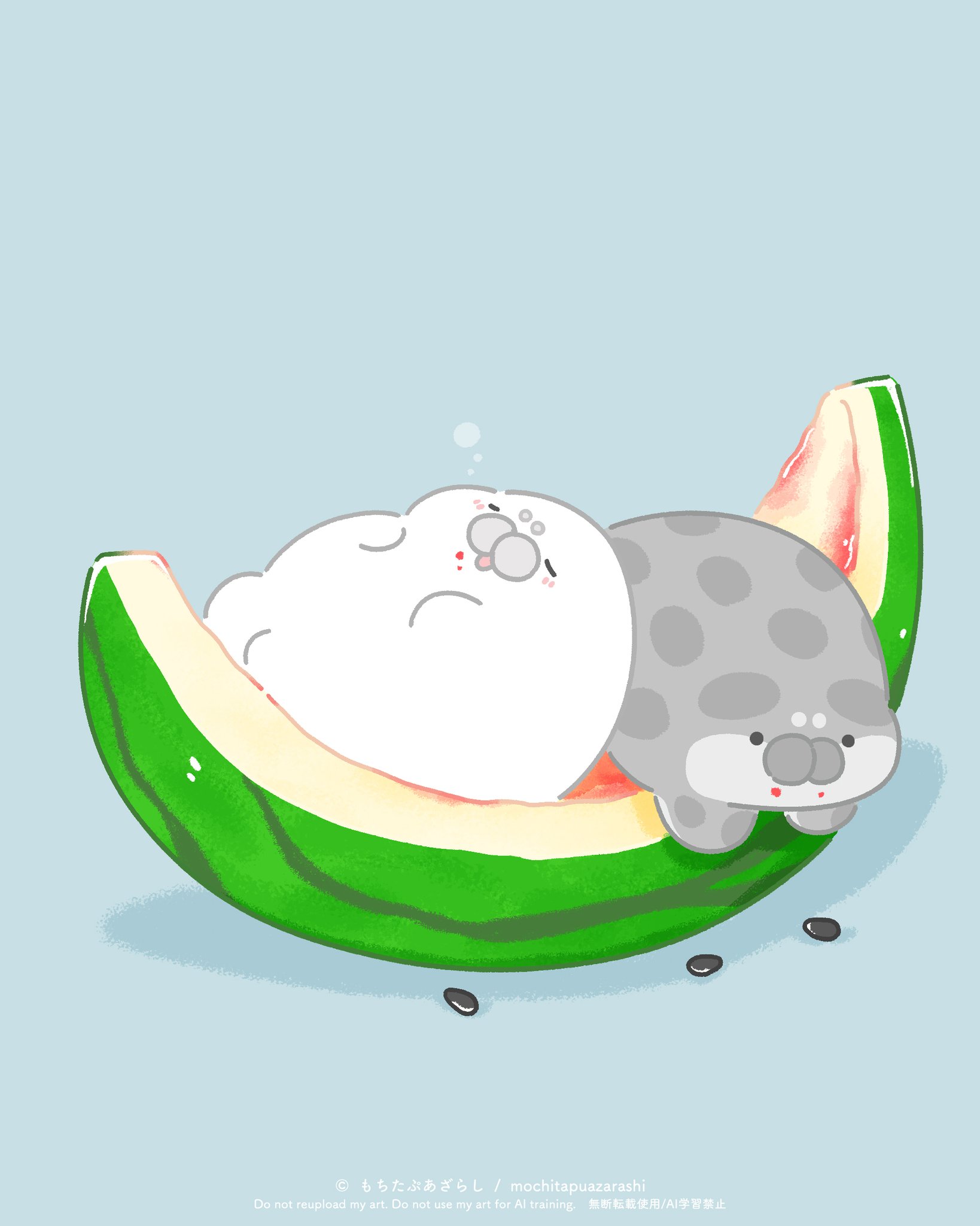 もちたぷあざらし в X: „もうたべれない🍉( ˙ ꒳ ˙ ) #スイカの日