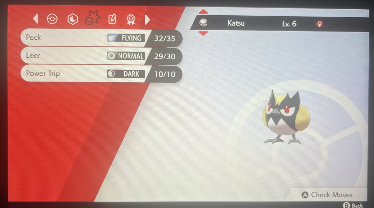 Qaurad's tweet photo. Shiny Rookidee after 763 Encounters! This “starter” pokemon kicks off the beginning of my Shield DTQ. Got some cool hunts planned and really excited for this one overall. Onto Sizzlipede in the Motostoke gym. https://t.co/zGZ231JnJ9