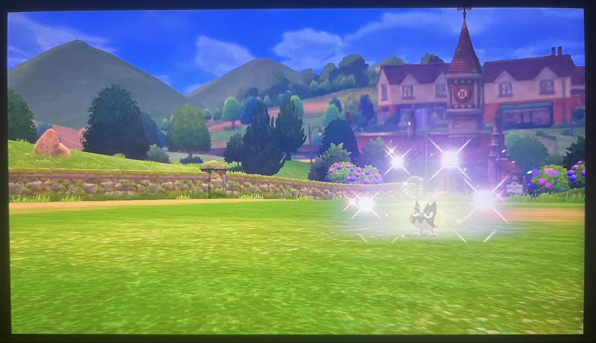 Qaurad's tweet photo. Shiny Rookidee after 763 Encounters! This “starter” pokemon kicks off the beginning of my Shield DTQ. Got some cool hunts planned and really excited for this one overall. Onto Sizzlipede in the Motostoke gym. https://t.co/zGZ231JnJ9