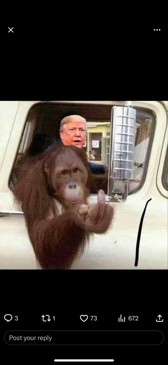 backracker1's tweet photo. @Backupjoepags1 Sorry, traitor. https://t.co/X8EnSMroyt