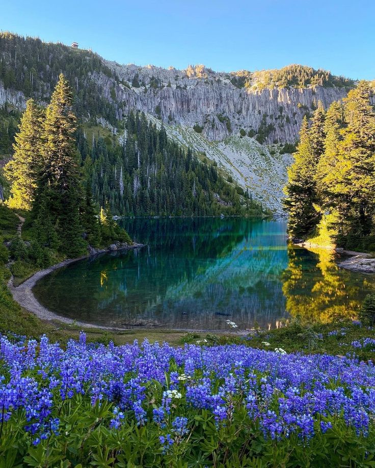 greenvibe's tweet photo. Standing here, everything feels softer and more forgivable. https://t.co/d2xIgDVgYZ