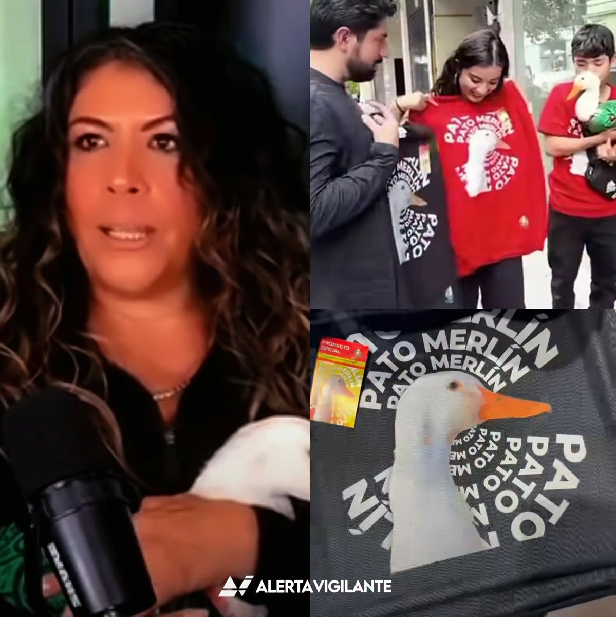 DRA. MERCEDES PAVON "SUPERMUELITA FIFÍ" tweet media