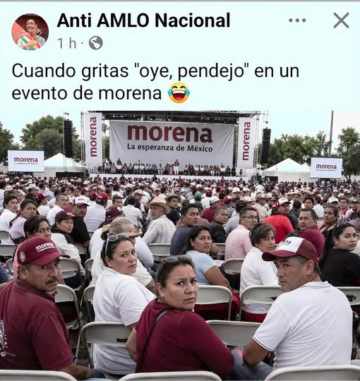 GARCIPAVON's tweet photo. Y si 😂😂🤣🤣