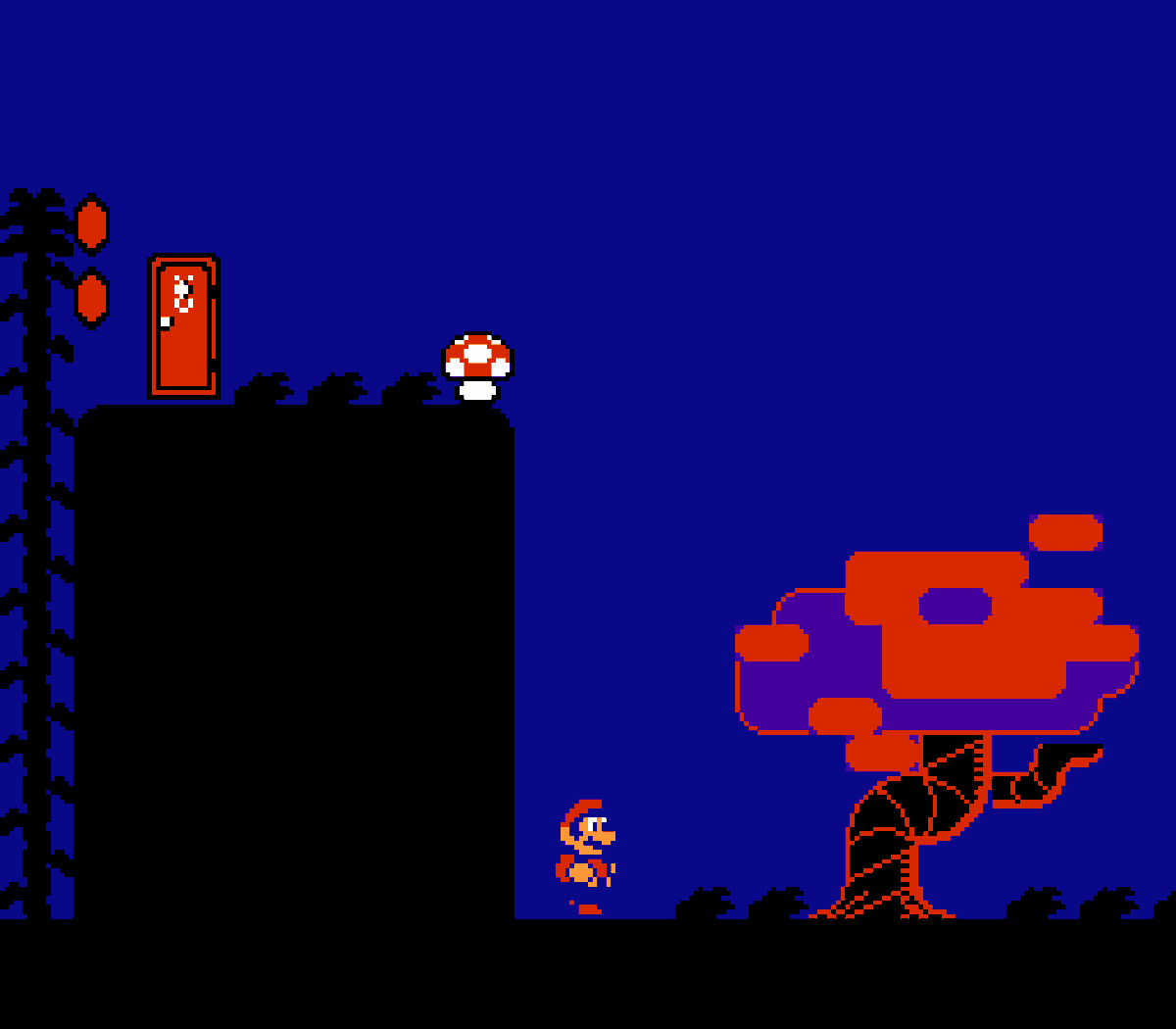 DeltaSanic's tweet photo. replaying Super Mario Bros 2, and can't say i've seen this subspace area before... https://t.co/ttul2sF2Qg