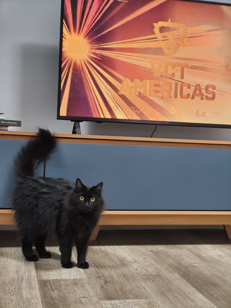 angeloParrela's tweet photo. Mabel segue acompanhando todos os jogos da irmã mais velha. Bora Fúria, chega de comer calango! @FURIA

#vctamericas https://t.co/npW6tDHj2I
