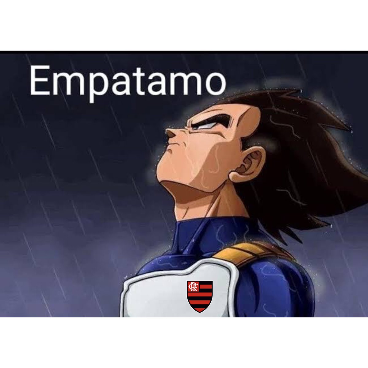 fla_memescrf's tweet photo. Enfim, final de semana com gosto amargo: https://t.co/TPTXLj6wTN