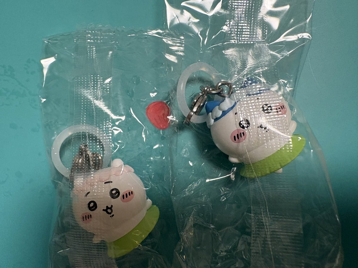 yukicam's tweet photo. 昨日見て、ちいハチ揃った！ https://t.co/MPxeARcqOp