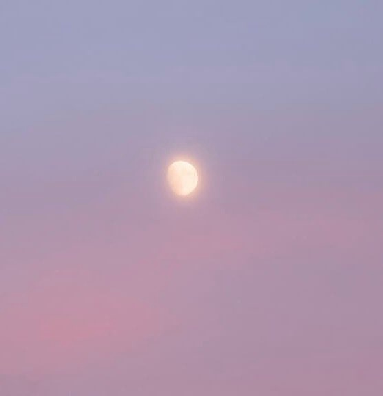 calmlivng's tweet photo. soft shades https://t.co/6kt50gqb0T