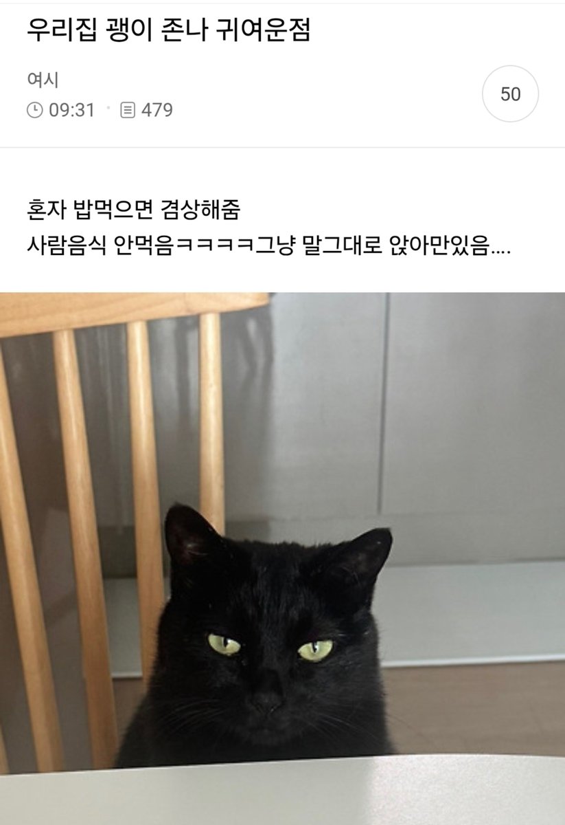 지금 여성시대는… tweet media