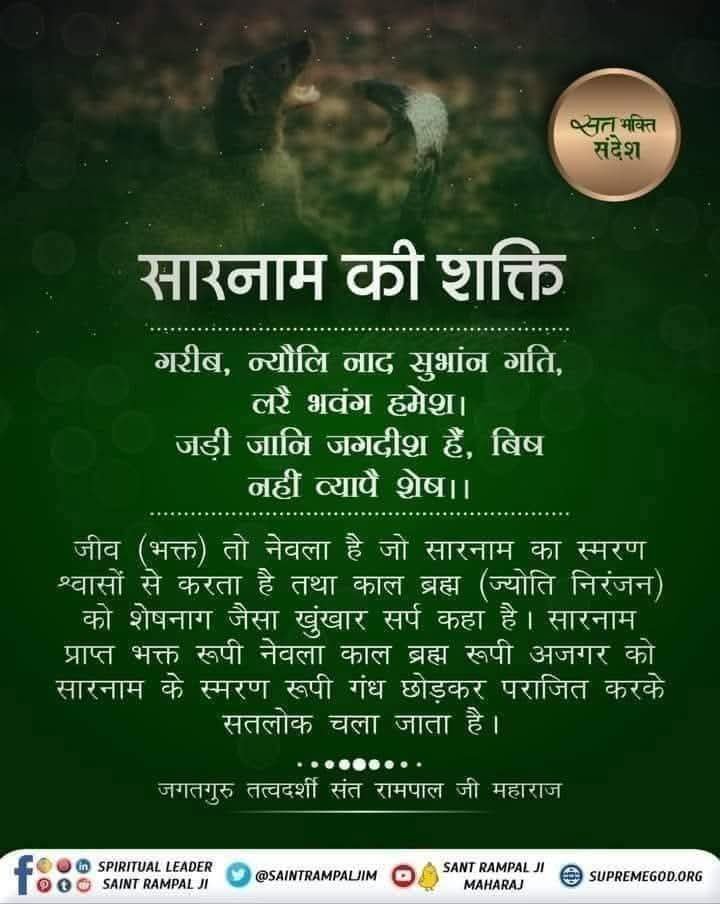 arc366201's tweet photo. #सत_भक्ति_संदेश 
जीव (भक्त) तो नेवला है जो सारनाम का
स्मरण श्वासों से करता है तथा काल ब्रह्म
(ज्योति निरंजन) को शेषनाग जैसा खुंखार सर्प कहा है। सारनाम प्राप्त भक्त रूपी नेवला काल ब्रह्म रूपी अजगर को सारनाम के स्मरण रूपी गंध छोड़कर पराजित करके सतलोक चला जाता है।
#GodMorningMonday https://t.co/u1i0rU0Roo