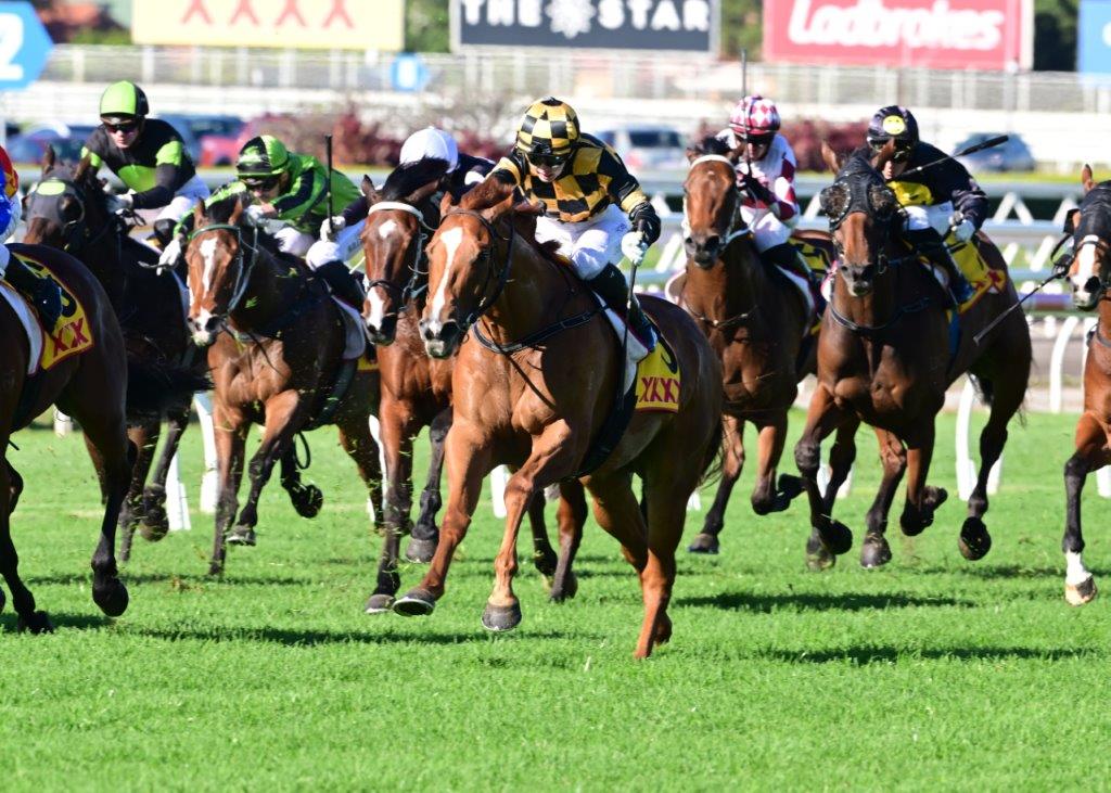 tonygollan's tweet photo. 💥TRACKSIDE WINNER OF THE WEEK 💥
Our #WinnerOfTheWeek presented by Trackside Photography is Livalittle.
4yo gelding Livalittle (The Autumn Sun x Hayley Grace) won the BM80 Hcp over 1600m at Eagle Farm on Saturday ridden by Leah Martyn & strapped by Taylor Ratten. https://t.co/cpxn5Lp0Kd
