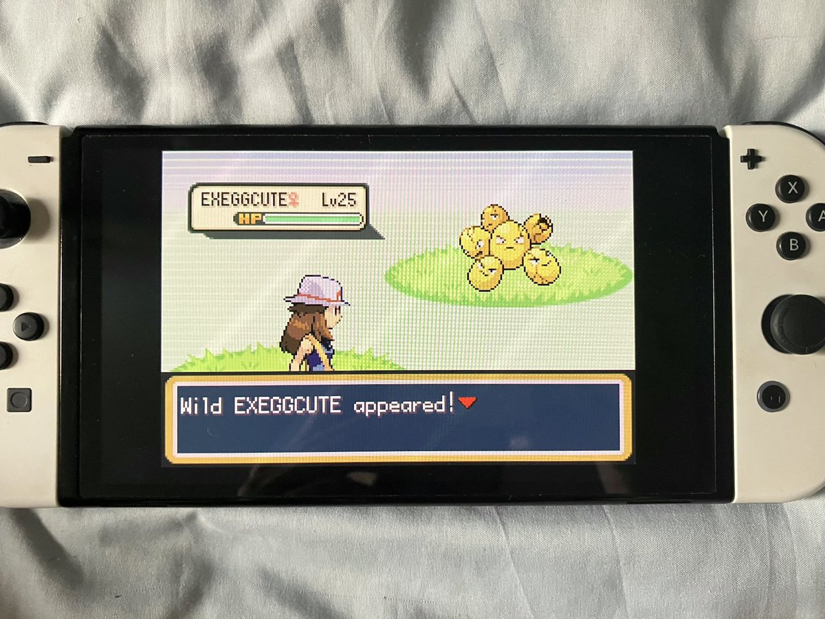 raulosunaa's tweet photo. 2,695 REs, caught after 3 balls #safariweek2026 #safariweek https://t.co/0iQtGbJmIN