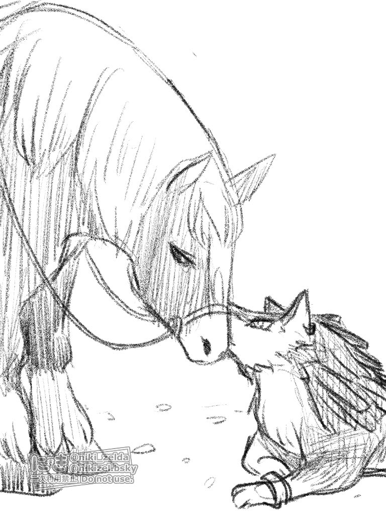 niki_zelda's tweet photo. トワプリらくがき再掲。トワンコもミドナさんも難しい… https://t.co/mIzxespTYj