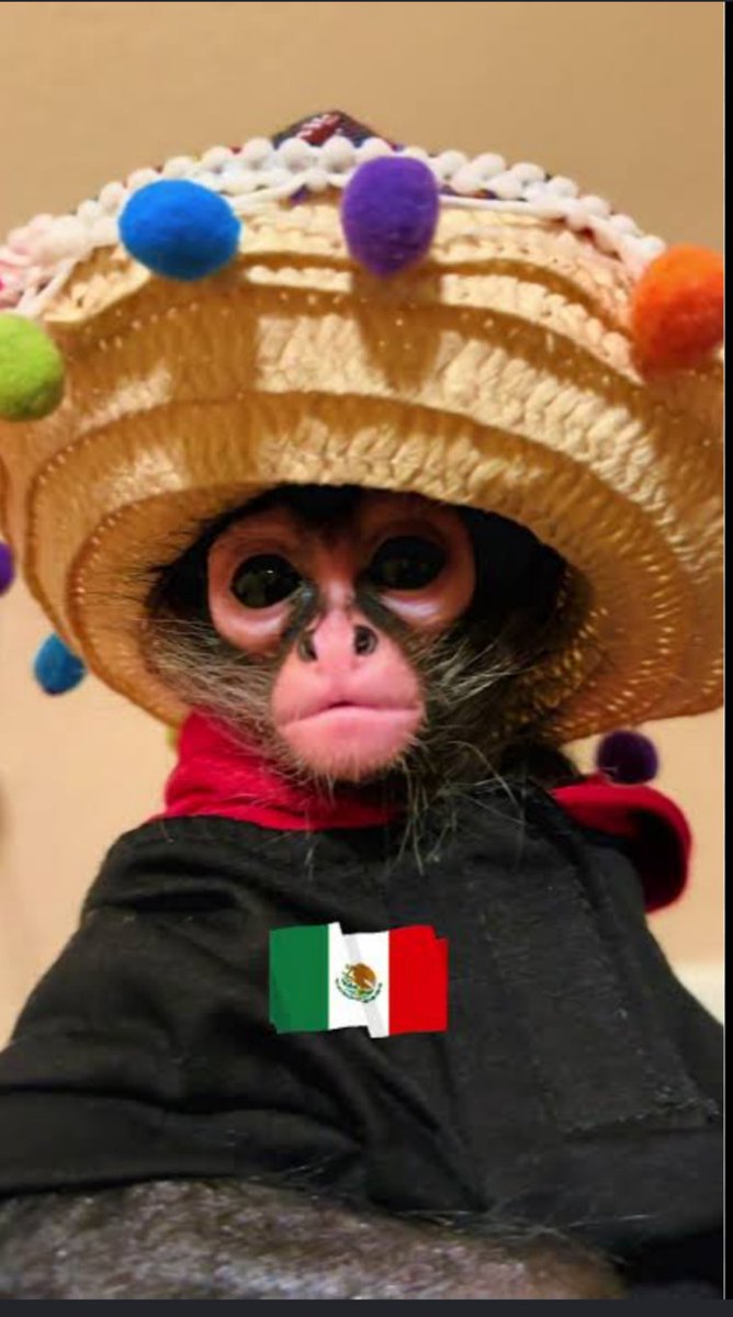DenselClaudio's tweet photo. @TheVeryFish @KingGodzillaGR Bueno ..ahí te bajo hermano mexicano...ante todo viva la hermandad https://t.co/yNhyBrNc5b