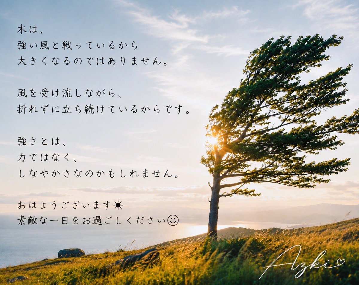 AzkMusicloud's tweet photo. 力を抜くことも、強さのひとつなのかもしれませんね。
おはようございます☀ https://t.co/njp0LyxIHP