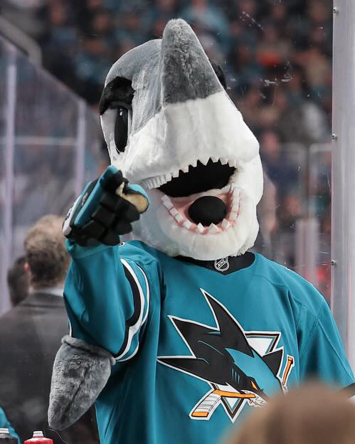 NHL's tweet photo. Everyone wish @sjsharkie a happy #SharkWeek! 🫵🦈 https://t.co/cZYKpTwBuU