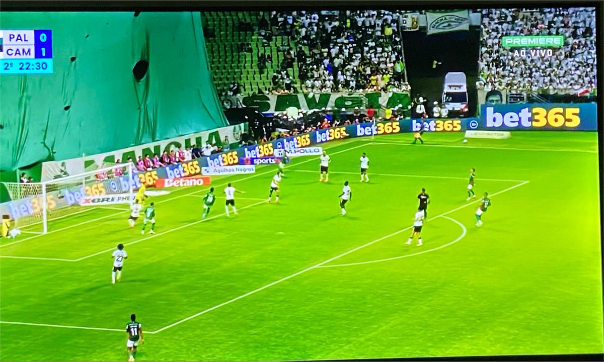 Matt_Almeida_'s tweet photo. E esse mosaico do Palmeiras? 😂 https://t.co/NF3Fw12r0C