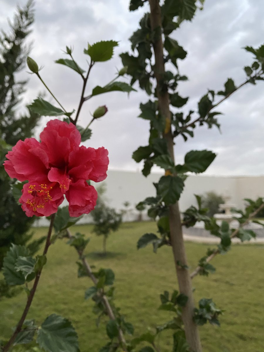 rakan_alshamr's tweet photo. كم أقدرك وأحترمك وأعزك وأخفي مشاعري في داخلي حتى لا تعلم بها وأجمل ما فيها أنها من طرف واحد لا تنتظر مقابلاً ولا تطلب شيئًا سوى أن تبقى هذه المشاعر  مخفية و صادقة نحفظها في داخلنا خوفاً عليها من مؤثرات خارجية 
#نبض_الوناسة_للدعم 
#صباح_الخيـر https://t.co/YGh1P7pvKn