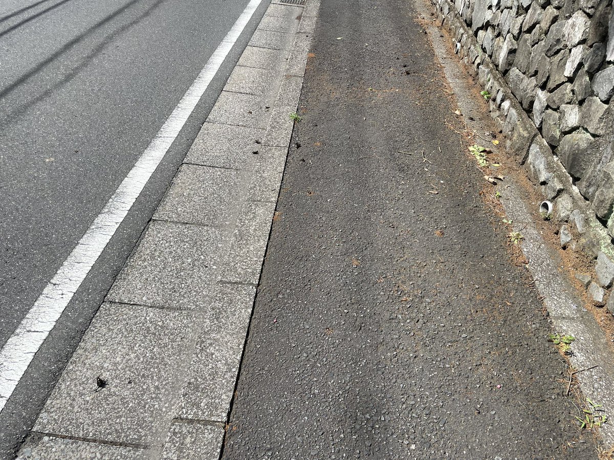 HM50122186's tweet photo. え、黒いの全部カブトムシなんだけど全部潰れてる
何これ https://t.co/xxlxMQ2q8Y