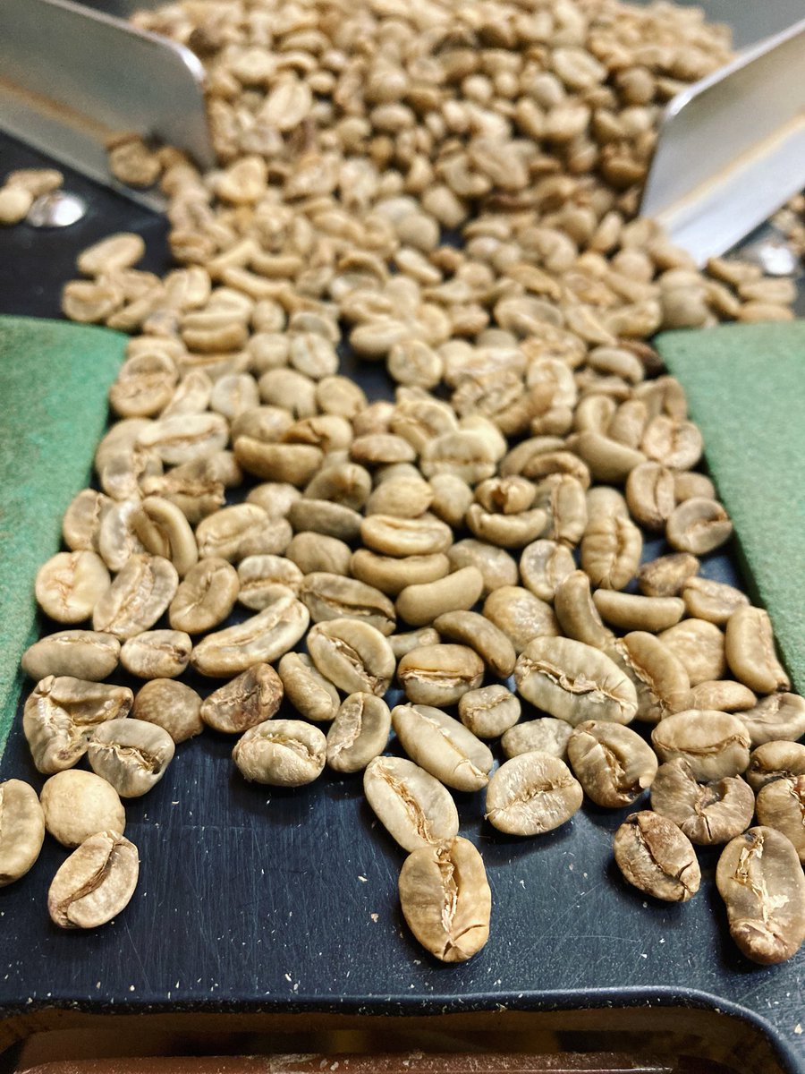 nericafe2011's tweet photo. 中煎り　ふつうのマンデリン　写真

軽やかで個性的な明るい香味

ふつう？とは、産地が明確なトバ湖のマンデリンとの区別で、命名しました。
トバコよりも甘みは少ないがキャラクターは強いので、あえて中煎りにしています。
今週豆売り登場予定です。 https://t.co/ZqJ9TQhmxx