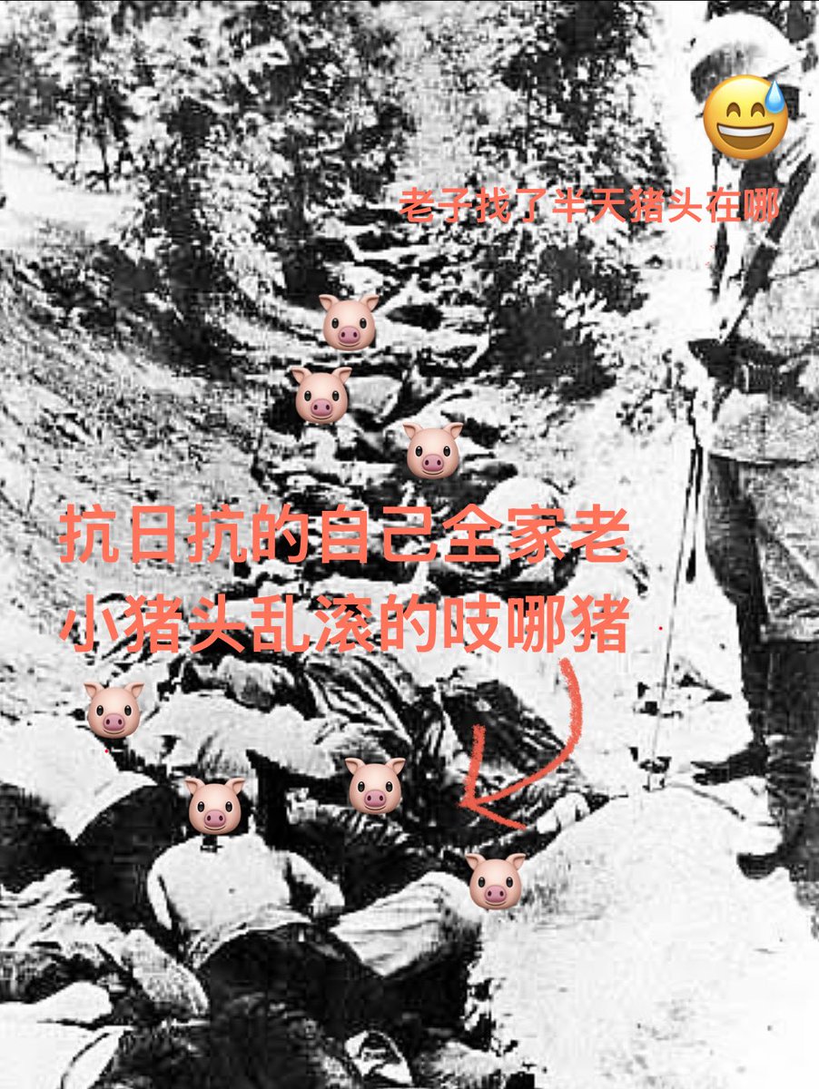 CHONGHWAMINKUO2's tweet photo. @Daxiahan 滞纳贱畜又闹批麻球咯，狗日的龟孙子🥱👉🏻🐷🇨🇳 https://t.co/WwNrwVyMbf