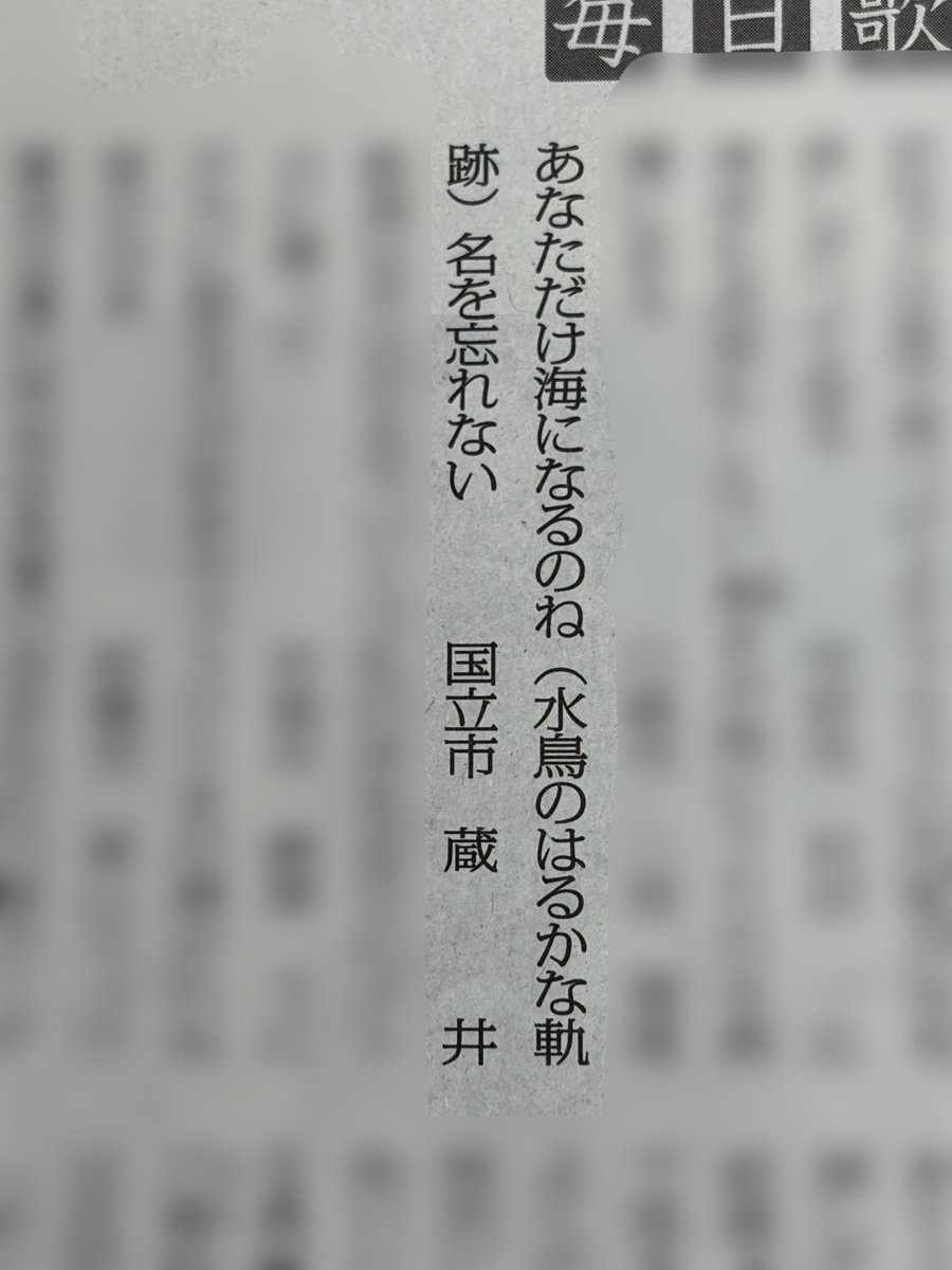 bluethrough_k's tweet photo. あなただけ海になるのね（水鳥のはるかな軌跡）名を忘れない
／蔵井

毎日歌壇・水原紫苑選（2026.07.27）
掲載ありがとうございます🐈 https://t.co/G5dJKSRqO1