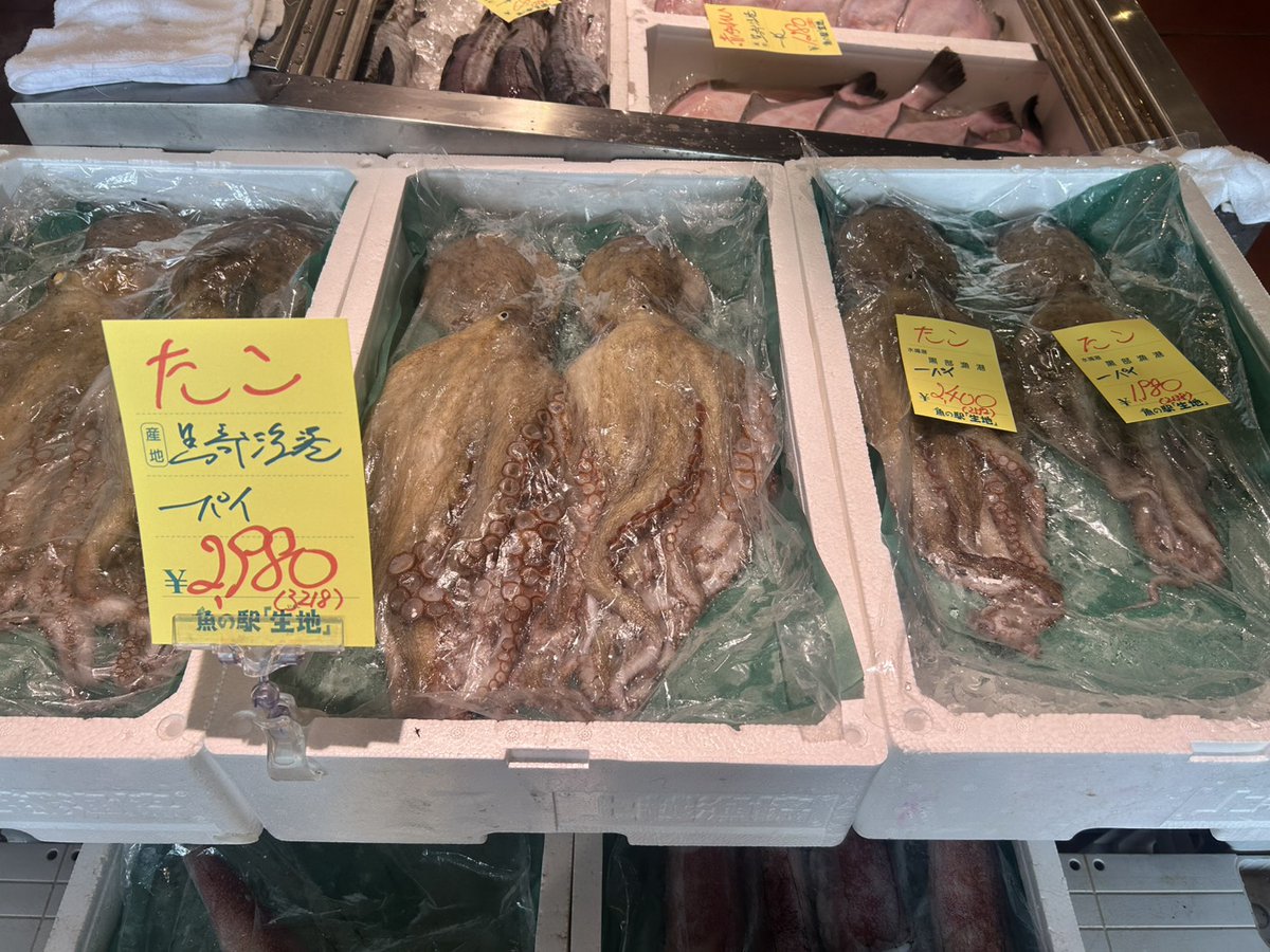 toretatekan's tweet photo. ＼🐟本日は少数精鋭です🐟／
今日は全体的に水揚げが少なめですが、 数が少ないので『早い者勝ち』です🏃‍♂️💨

🦐おすすめ 
子持ち甘えび、剣先いか、たこ
🐟お魚 まだい、ふくらぎ、あじ
面倒な『下処理無料』でお渡し🔪✨ 
お取り置きのご依頼は公式LINEへ📲

https://t.co/i113yUQcud
#魚の駅生地 https://t.co/jarY5Nza3p