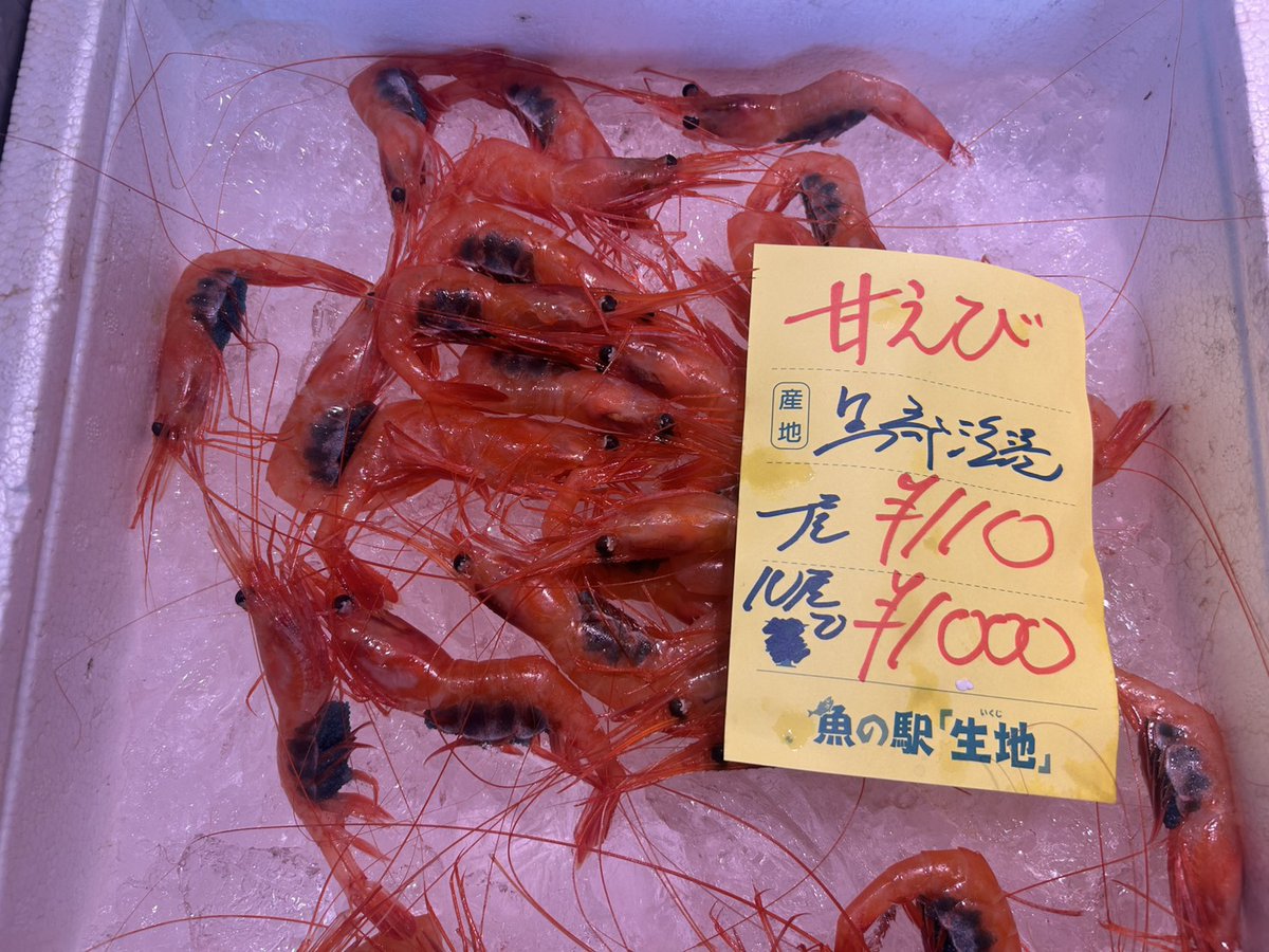 toretatekan's tweet photo. ＼🐟本日は少数精鋭です🐟／
今日は全体的に水揚げが少なめですが、 数が少ないので『早い者勝ち』です🏃‍♂️💨

🦐おすすめ 
子持ち甘えび、剣先いか、たこ
🐟お魚 まだい、ふくらぎ、あじ
面倒な『下処理無料』でお渡し🔪✨ 
お取り置きのご依頼は公式LINEへ📲

https://t.co/i113yUQcud
#魚の駅生地 https://t.co/jarY5Nza3p