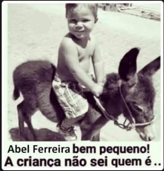 maximoarthurr's tweet photo. @Palmeiras https://t.co/vAc75roZJT