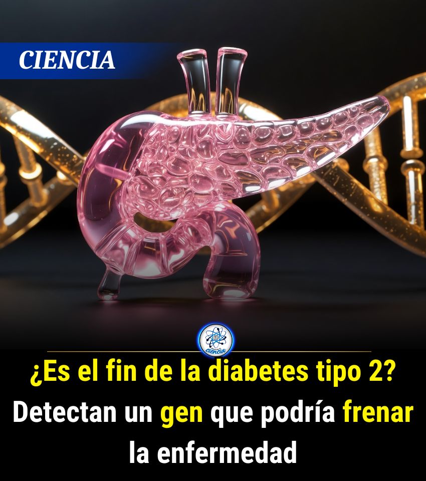 EnsedeCiencia tweet picture