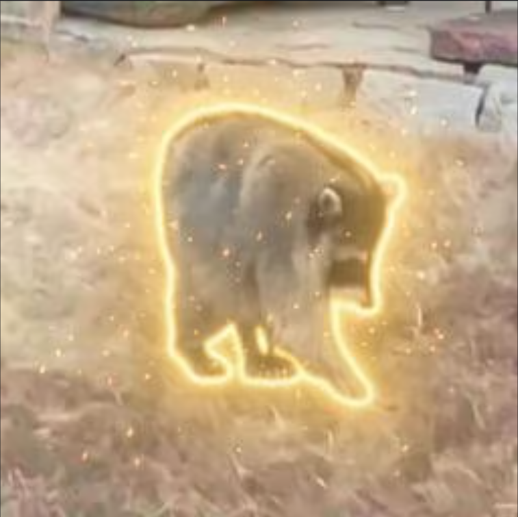 Official_RGBull's tweet photo. This is definitely going to flip Jimothy. This right here is the true OG—it was literally confirmed on the main Instagram page that this legend is actually Danny DeVito, not Jimothy! $Danny 

8kAYCongF4r6kVKe2uhDTJZhTEANcyAjUn3ZqgGxpump https://t.co/7L5g6sHa0p