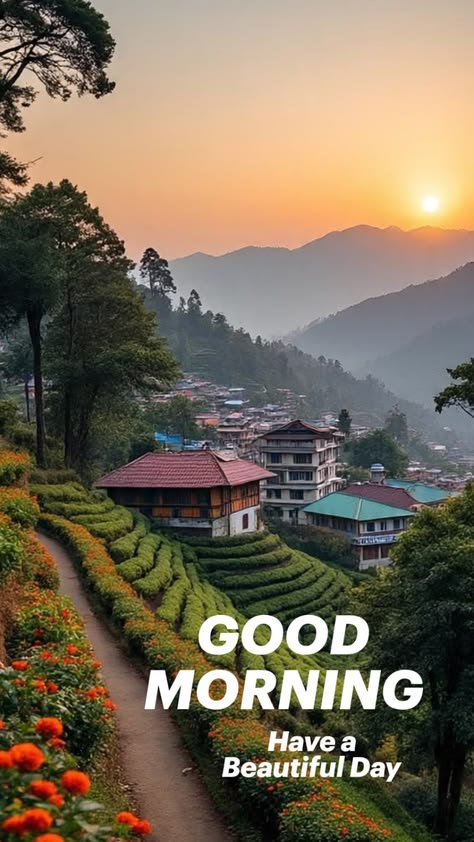 MeenaM6cou's tweet photo. Happy Morning!
Life is full of ups and downs. Do not give up hope. Examine the lessons that your life is providing. Wishing you a sunny day!" https://t.co/169ne6ROGK