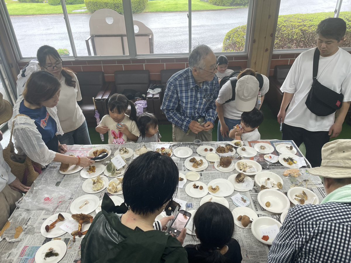 ouse_park's tweet photo. 7/27
おはようございます！昨日開催しました「夏のきのこを探そう」です。大雨のかなでのキノコ狩りでしたが、ここのところの雨のおかげでたくさんのキノコを見つけることができました！
秋のきのこは９月２７日の予定ですよ！受付は８月２７日からです。 https://t.co/OECqxhVGFl