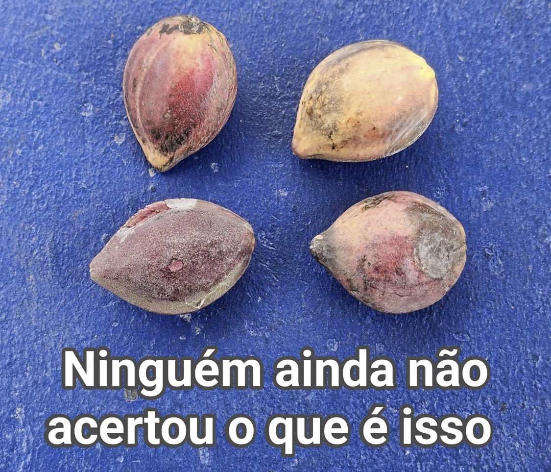 WanderValero tweet media