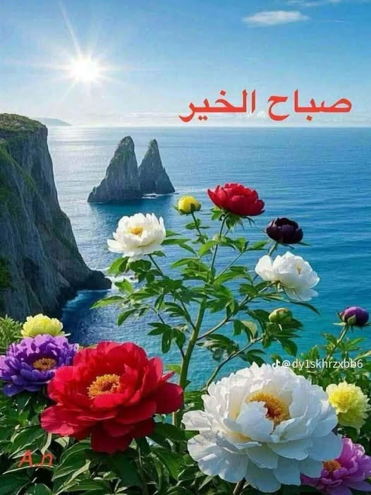 125_abwbbb's tweet photo. https://t.co/f7ZiawF2UE