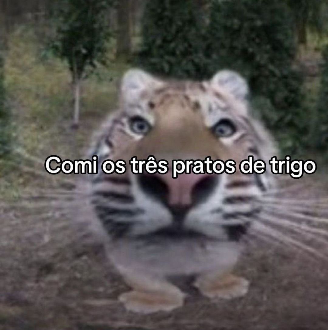 shitpostverdade's tweet photo. https://t.co/aN5TQ3trCW