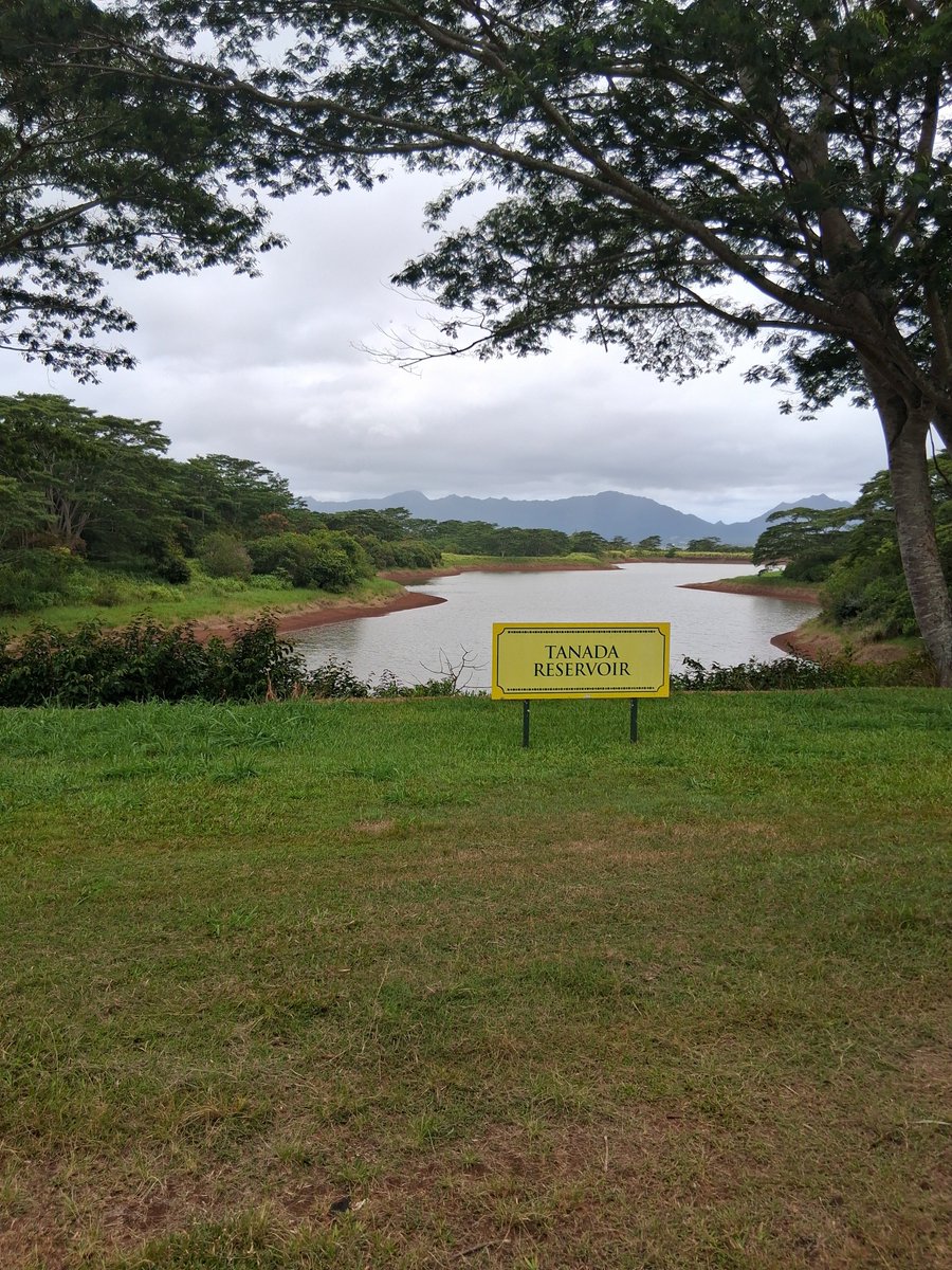SJN305's tweet photo. Dole Plantation https://t.co/CUJ45FsQto