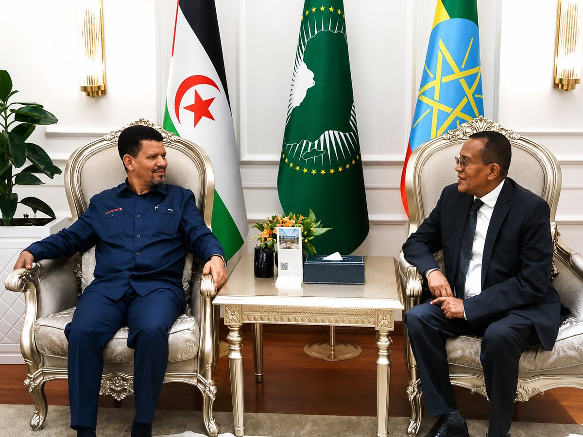 SADR_SAHARA's tweet photo. وزير الخارجية و الشؤون الإفريقية يصل إلى إثيوبيا للمشاركة في أشغال الدورة الـ 49 للمجلس التنفيذي للاتحاد الإفريقي.
https://t.co/5X6iHu1EAd https://t.co/jvpbSqw7TT