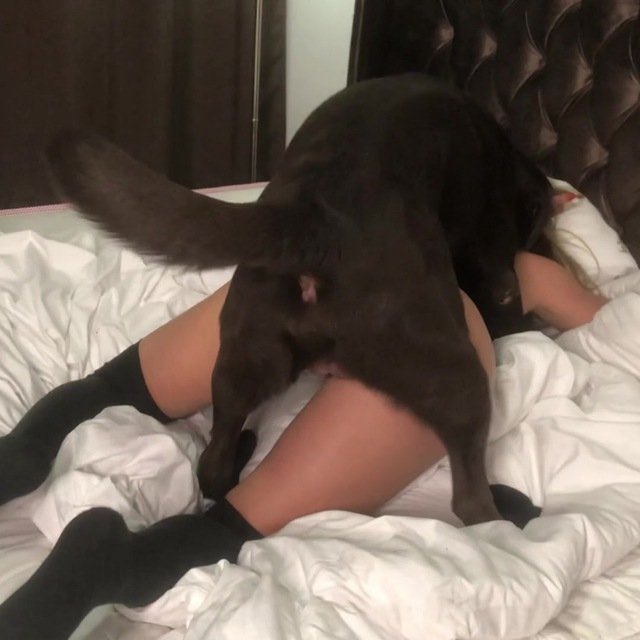 Si_bu0's tweet photo. Snack dealer wanted
reposted
@knotty990•39m
Drool level: expert 
https://t.co/KZWhgXUulC
Zangi// 71-6672-8467
#zoophillia #dogknot #zooprideisvalid
#zoophile
#hypnotistzoophilesarevalid #zoophiletwt https://t.co/dNwf2Q5Xgu