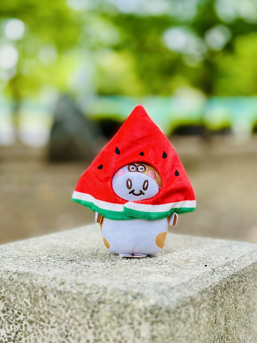 おはビーフ🐮🥔 7月27日 #スイカの日 🍉スイカのコスプレ似合う？ねぇ