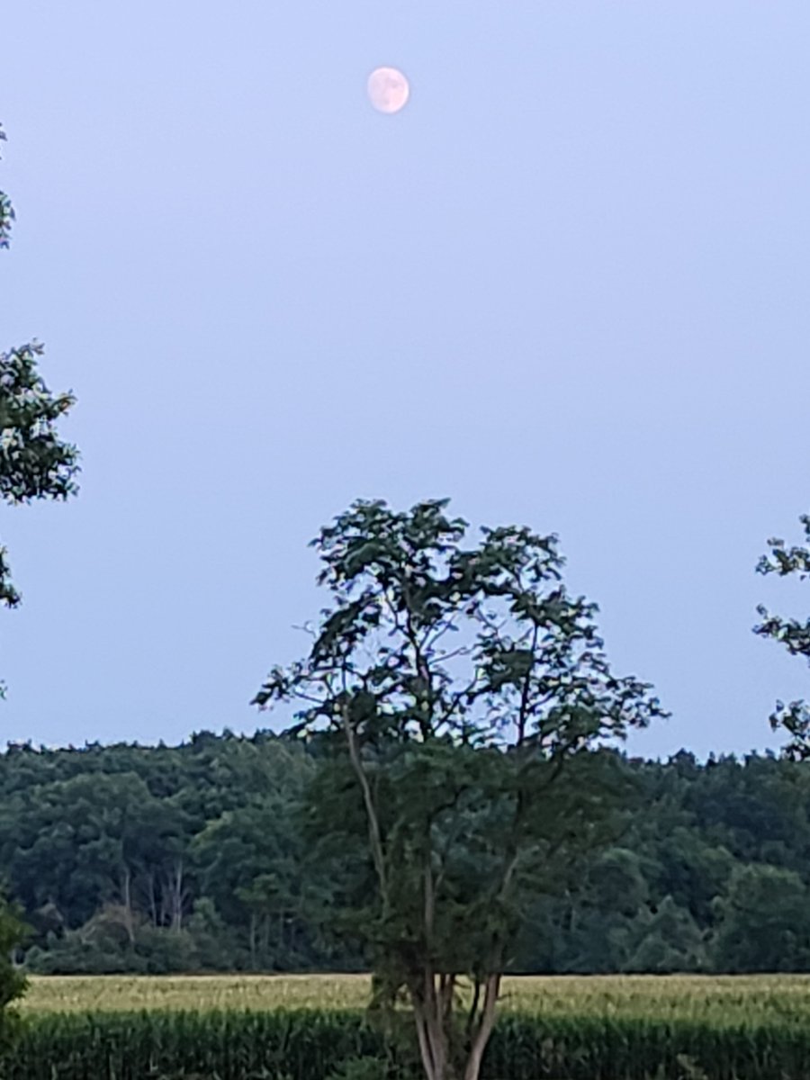 REC_Jim's tweet photo. Summer moon https://t.co/khg0f7ll6i
