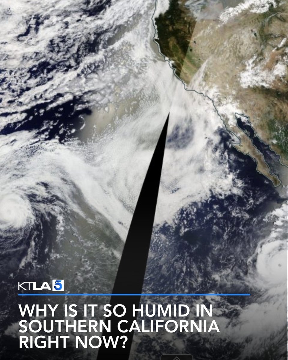 KTLA's tweet photo. Can you feel the humidity?

Read more: https://t.co/mRKW0YpAjk https://t.co/yXKI1IA1Pw