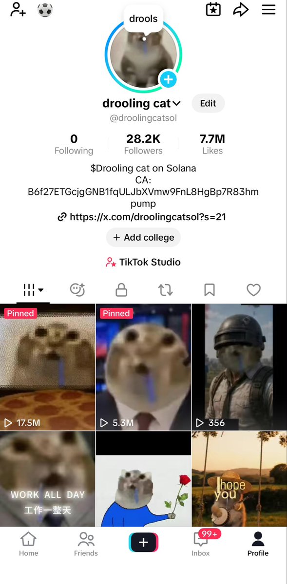 droolingcatCTO's tweet photo. The drooltok is back.

New video up on TikTok.

https://t.co/0m7GFgedBt https://t.co/xNHfTPUAb5