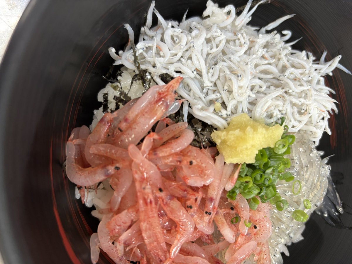 tagonoura_gk's tweet photo. 田子の浦港漁協食堂、開店しました！獲れたて生しらすをお召し上がりいただけます！　#田子の浦港漁協食堂　#生しらす丼　#赤富士丼　#駿河のめぐみ丼 https://t.co/3EsxktUKZK