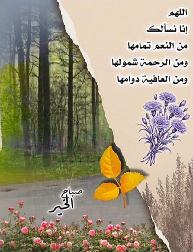 ali96bb's tweet photo. " الحياة رحلة وليست سباقاً؛ استمتع بالطريق، وتأمل التفاصيل، ولا تستعجل الوصول "
#صباح_الخير_والسعادة https://t.co/cd6zq07Fn1