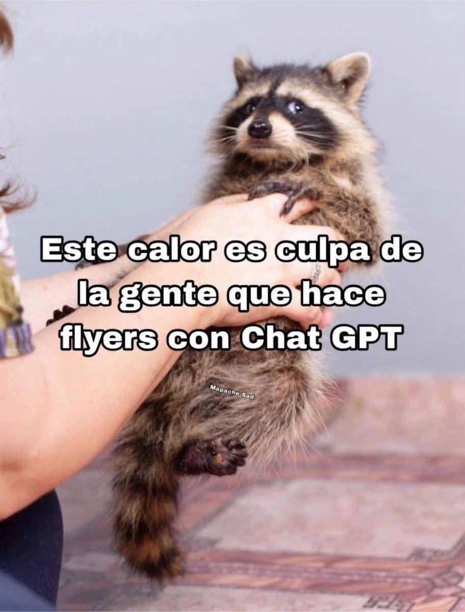 Jugo D. Chinola 👒⊹ ࣪˖🍹⋆˚✿˖°🧡⋆.˚ tweet media