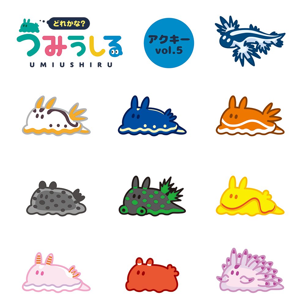 m2k_'s tweet photo. 【M2K SHOP 新商品情報】
#BOOTH にて
「どれかな？うみうしる」
アクリルキーホルダーvol.1～6
好評発売中！！

https://t.co/7bipapNqZ8

なんと全65種！
推しウミウシはみつかりましたか？

#M2K #うみうしる #ウミウシ #うみうし https://t.co/tkbE577MLQ