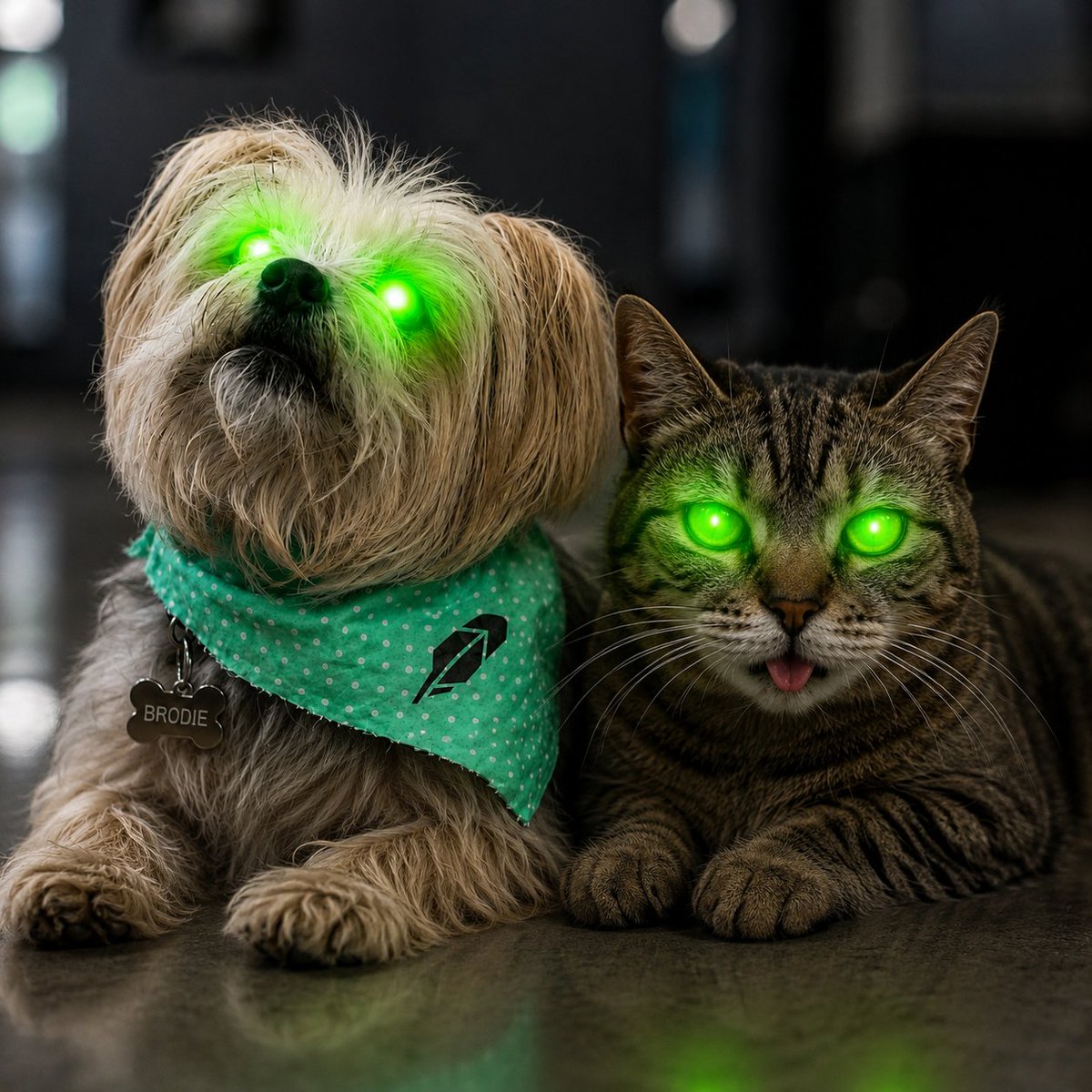 Cat_RHood's tweet photo. just a couple office pets https://t.co/UMB3wNcxig