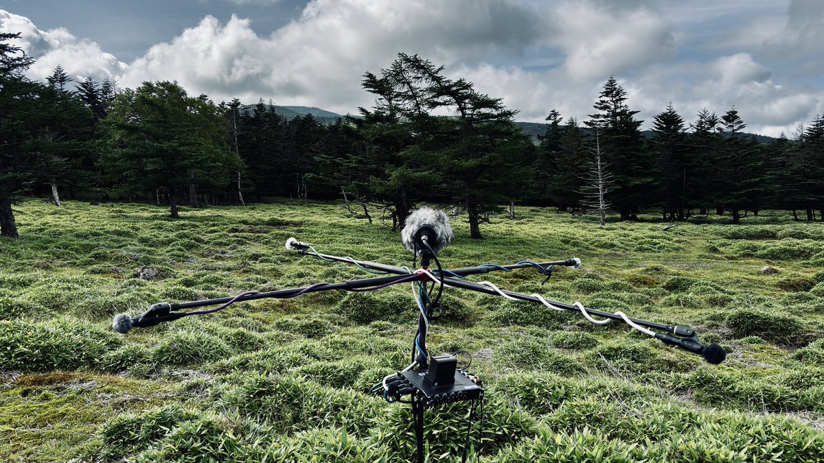 Nature Sound Effect : miduno tweet media